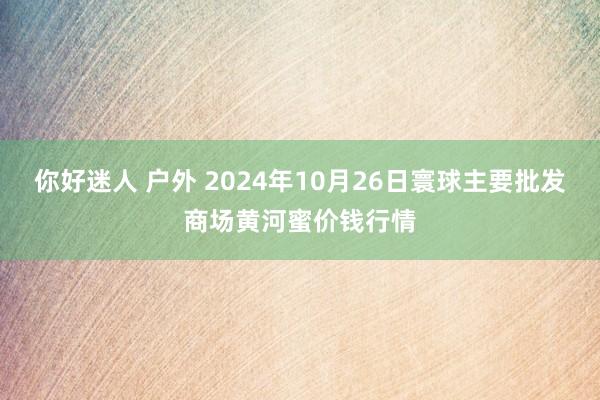 你好迷人 户外 2024年10月26日寰球主要批发商场黄河蜜价钱行情