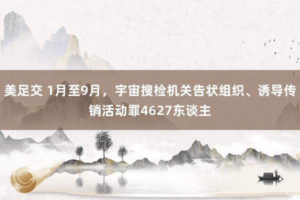 美足交 1月至9月，宇宙搜检机关告状组织、诱导传销活动罪4627东谈主