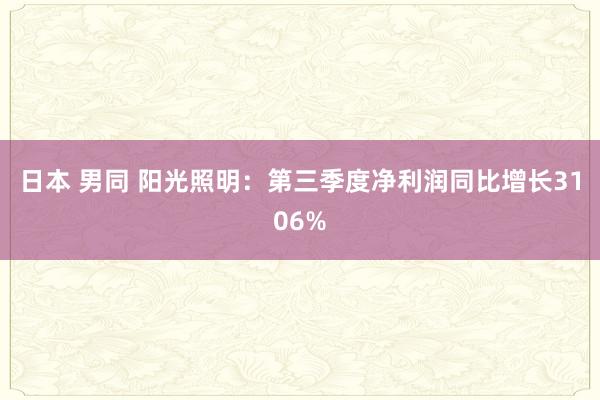 日本 男同 阳光照明：第三季度净利润同比增长3106%