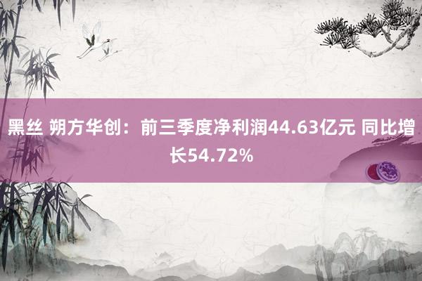 黑丝 朔方华创：前三季度净利润44.63亿元 同比增长54.72%