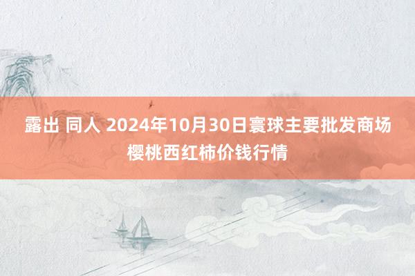 露出 同人 2024年10月30日寰球主要批发商场樱桃西红柿价钱行情