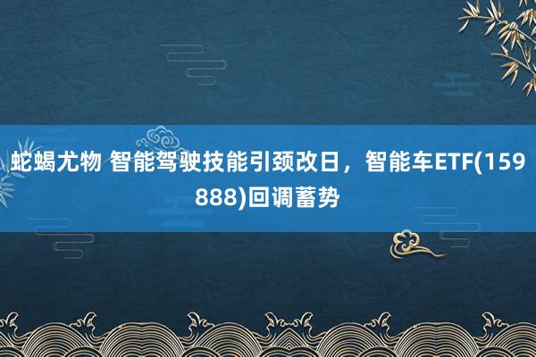 蛇蝎尤物 智能驾驶技能引颈改日，智能车ETF(159888)回调蓄势