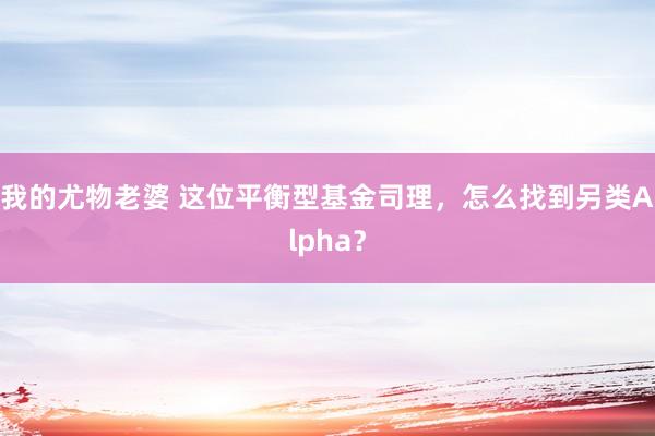 我的尤物老婆 这位平衡型基金司理，怎么找到另类Alpha？