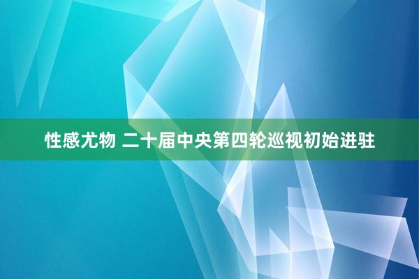 性感尤物 二十届中央第四轮巡视初始进驻