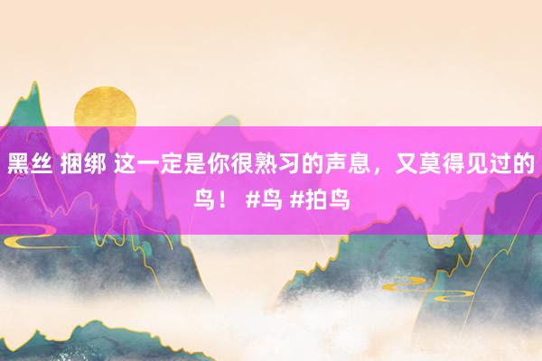 黑丝 捆绑 这一定是你很熟习的声息，又莫得见过的鸟！ #鸟 #拍鸟