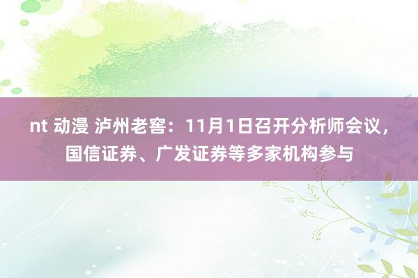 nt 动漫 泸州老窖：11月1日召开分析师会议，国信证券、广发证券等多家机构参与