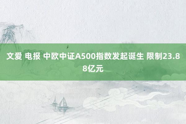 文爱 电报 中欧中证A500指数发起诞生 限制23.88亿元