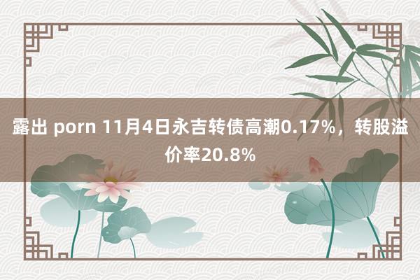 露出 porn 11月4日永吉转债高潮0.17%，转股溢价率20.8%