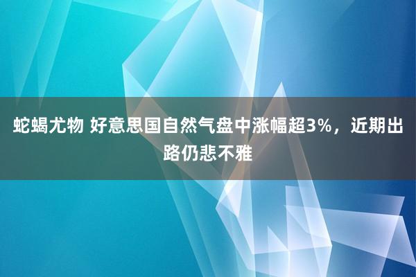 蛇蝎尤物 好意思国自然气盘中涨幅超3%，近期出路仍悲不雅