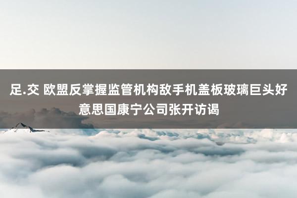 足.交 欧盟反掌握监管机构敌手机盖板玻璃巨头好意思国康宁公司张开访谒