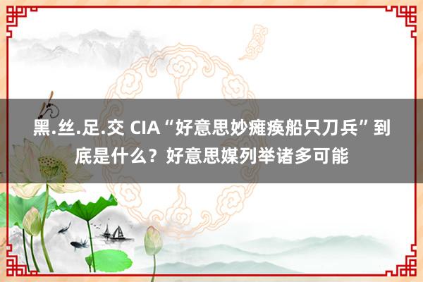 黑.丝.足.交 CIA“好意思妙瘫痪船只刀兵”到底是什么？好意思媒列举诸多可能