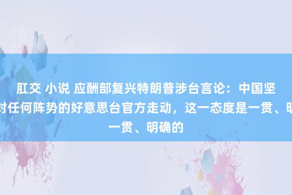 肛交 小说 应酬部复兴特朗普涉台言论：中国坚硬反对任何阵势的好意思台官方走动，这一态度是一贯、明确的