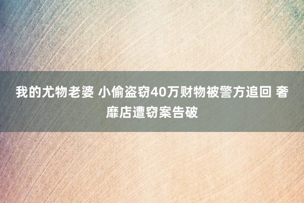 我的尤物老婆 小偷盗窃40万财物被警方追回 奢靡店遭窃案告破