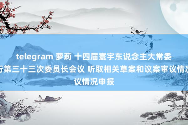 telegram 萝莉 十四届寰宇东说念主大常委会举行第三十三次委员长会议 听取相关草案和议案审议情况申报