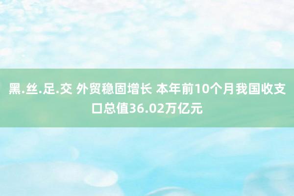 黑.丝.足.交 外贸稳固增长 本年前10个月我国收支口总值36.02万亿元