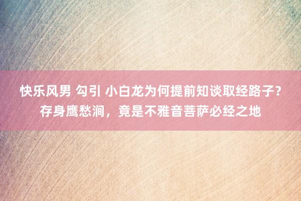 快乐风男 勾引 小白龙为何提前知谈取经路子？存身鹰愁涧，竟是不雅音菩萨必经之地