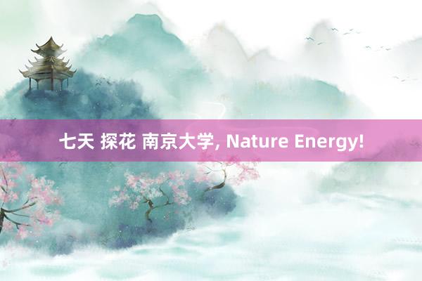 七天 探花 南京大学， Nature Energy!