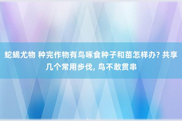 蛇蝎尤物 种完作物有鸟啄食种子和苗怎样办? 共享几个常用步伐， 鸟不敢贯串