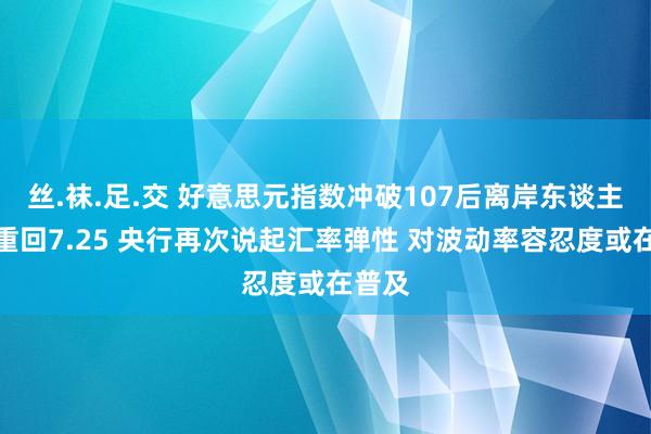 丝.袜.足.交 好意思元指数冲破107后离岸东谈主民币重回7.25 央行再次说起汇率弹性 对波动率容忍度或在普及