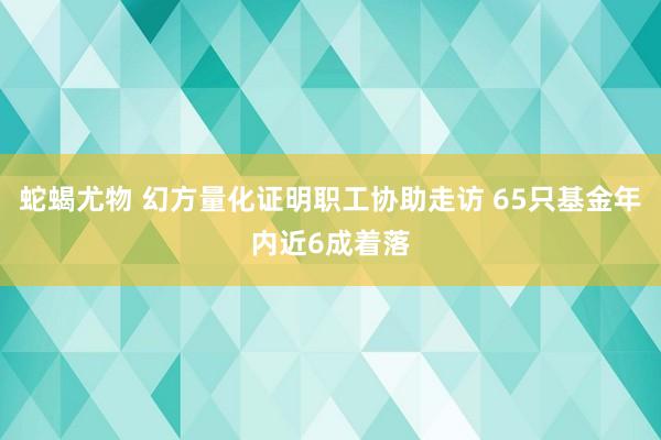 蛇蝎尤物 幻方量化证明职工协助走访 65只基金年内近6成着落