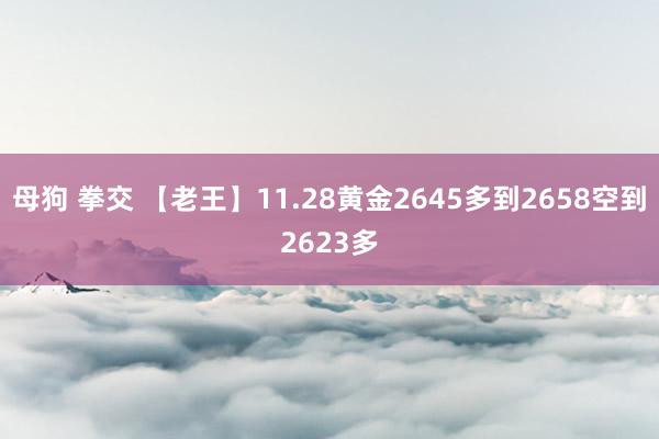 母狗 拳交 【老王】11.28黄金2645多到2658空到2623多