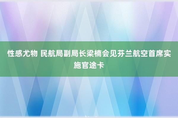 性感尤物 民航局副局长梁楠会见芬兰航空首席实施官途卡