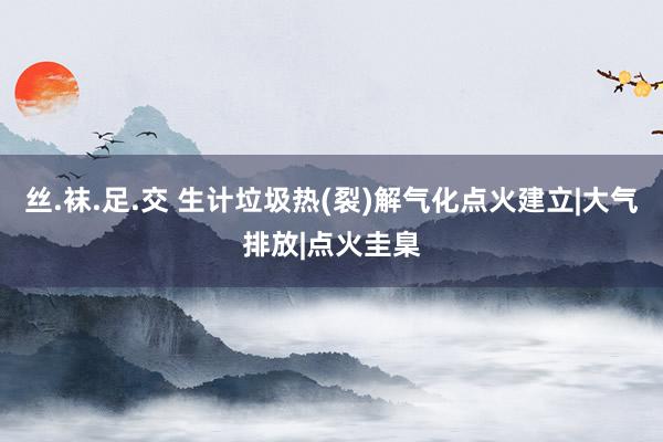 丝.袜.足.交 生计垃圾热(裂)解气化点火建立|大气排放|点火圭臬