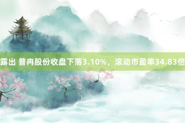 露出 普冉股份收盘下落3.10%，滚动市盈率34.83倍