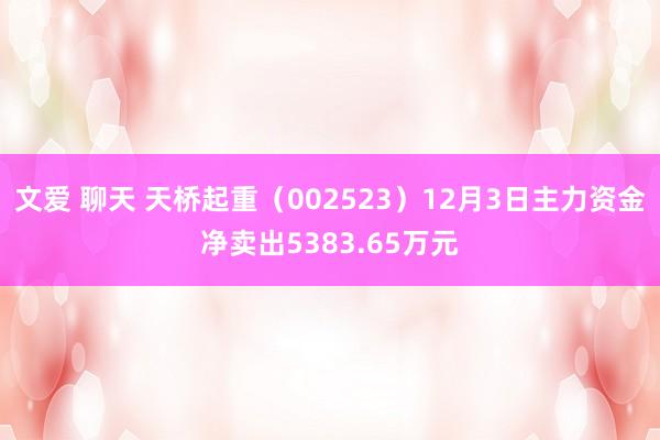 文爱 聊天 天桥起重（002523）12月3日主力资金净卖出5383.65万元