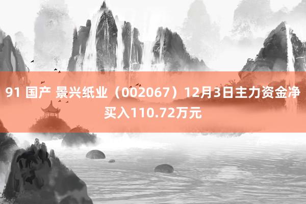 91 国产 景兴纸业（002067）12月3日主力资金净买入110.72万元