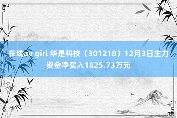 在线av girl 华是科技（301218）12月3日主力资金净买入1825.73万元