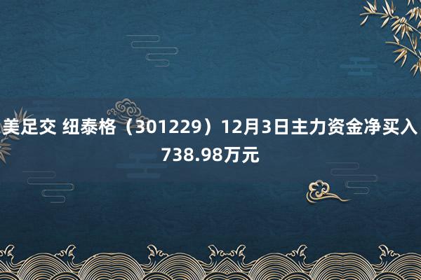 美足交 纽泰格（301229）12月3日主力资金净买入738.98万元