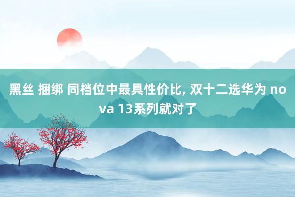 黑丝 捆绑 同档位中最具性价比， 双十二选华为 nova 13系列就对了