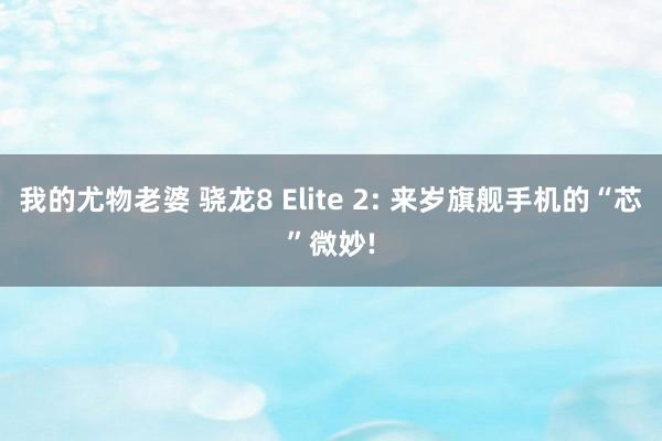 我的尤物老婆 骁龙8 Elite 2: 来岁旗舰手机的“芯”微妙!