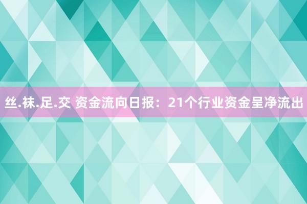 丝.袜.足.交 资金流向日报：21个行业资金呈净流出