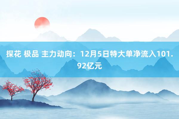 探花 极品 主力动向：12月5日特大单净流入101.92亿元