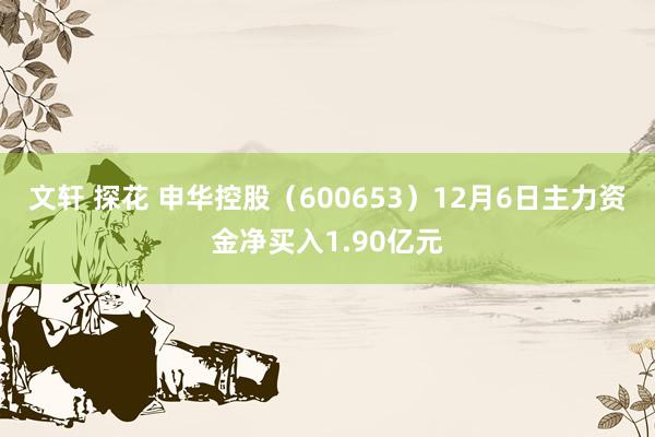 文轩 探花 申华控股（600653）12月6日主力资金净买入1.90亿元