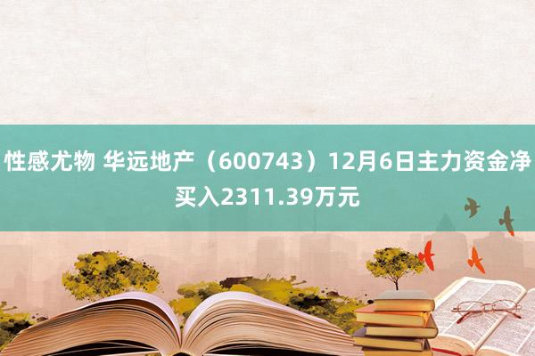 性感尤物 华远地产（600743）12月6日主力资金净买入2311.39万元