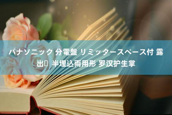 パナソニック 分電盤 リミッタースペース付 露出・半埋込両用形 罗汉护生掌