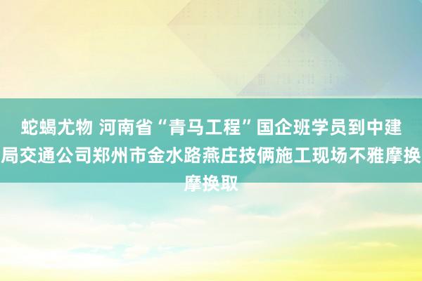 蛇蝎尤物 河南省“青马工程”国企班学员到中建七局交通公司郑州市金水路燕庄技俩施工现场不雅摩换取