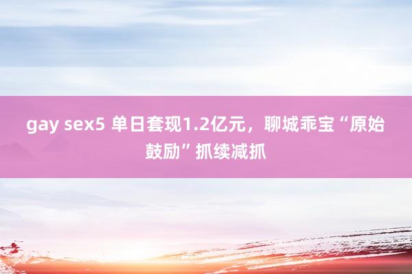 gay sex5 单日套现1.2亿元，聊城乖宝“原始鼓励”抓续减抓