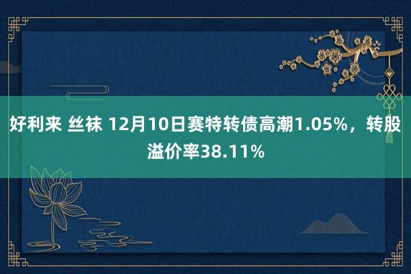 好利来 丝袜 12月10日赛特转债高潮1.05%，转股溢价率38.11%