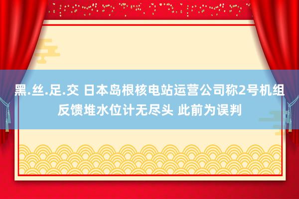 黑.丝.足.交 日本岛根核电站运营公司称2号机组反馈堆水位计无尽头 此前为误判