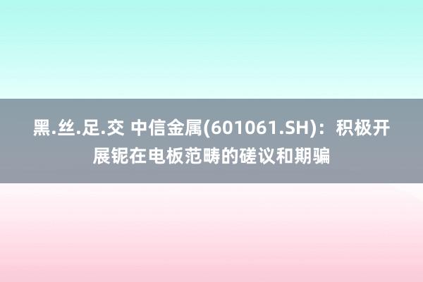 黑.丝.足.交 中信金属(601061.SH)：积极开展铌在电板范畴的磋议和期骗