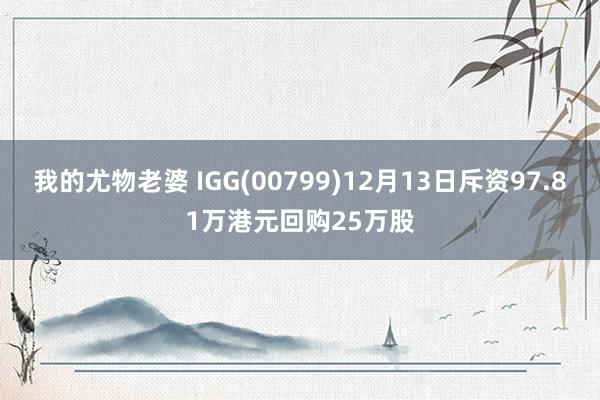 我的尤物老婆 IGG(00799)12月13日斥资97.81万港元回购25万股