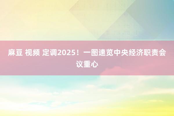 麻豆 视频 定调2025！一图速览中央经济职责会议重心