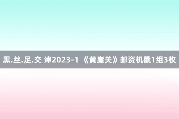 黑.丝.足.交 津2023-1 《黄崖关》邮资机戳1组3枚