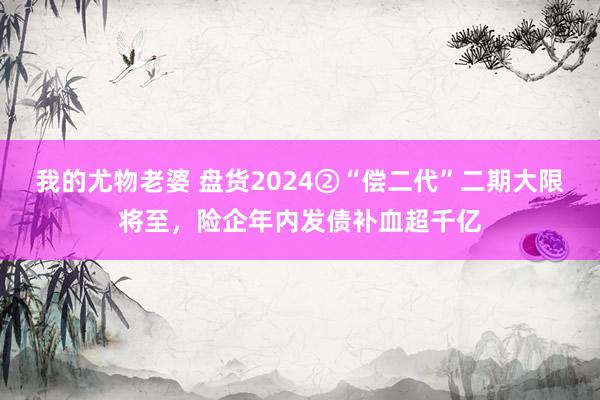 我的尤物老婆 盘货2024②“偿二代”二期大限将至，险企年内发债补血超千亿