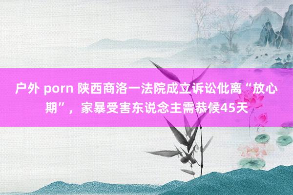 户外 porn 陕西商洛一法院成立诉讼仳离“放心期”，家暴受害东说念主需恭候45天