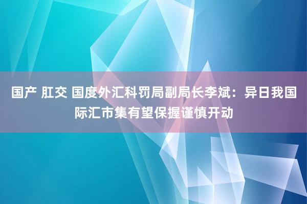 国产 肛交 国度外汇科罚局副局长李斌：异日我国际汇市集有望保握谨慎开动